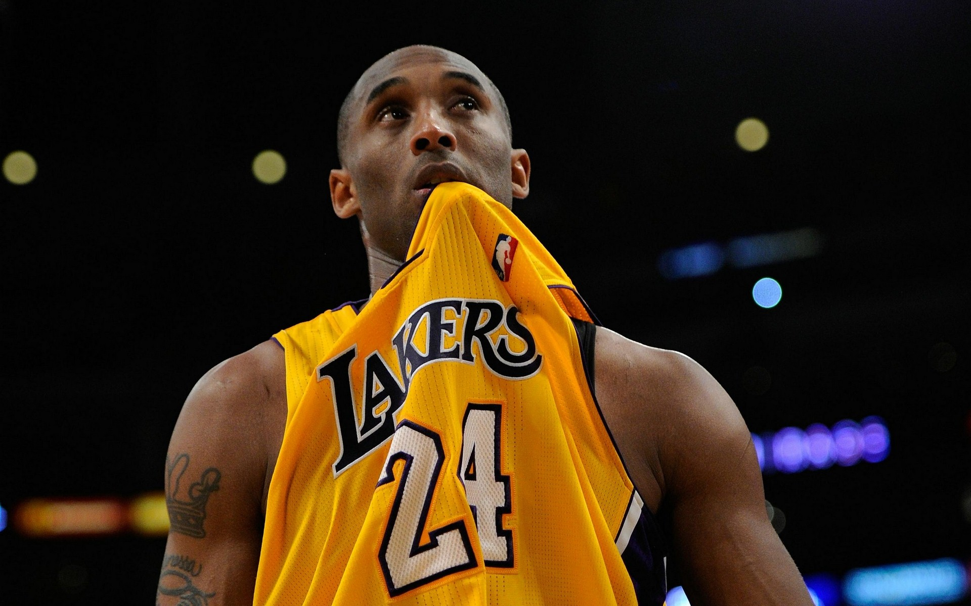 却成为历史 却成为历史